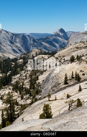 Ein Blick vom Olmsted Point blickte Tenaya Canyon am Half Dome im Yosemite-Nationalpark, Kalifornien USA. Stockfoto