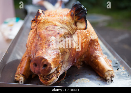 Hog Spit Roast Schwein Kopf Sommer BBQ Schicksal Stockfoto