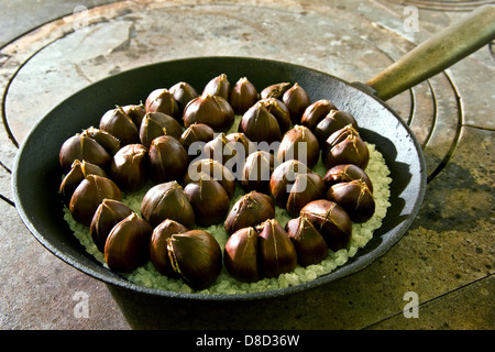 Geröstete Kastanie auf Salz Stockfoto