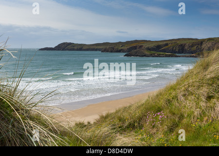 Whitesands Bay Pembrokeshire West Wales UK-Coast-Nationalpark.   Der Küstenpfad durchläuft. Stockfoto