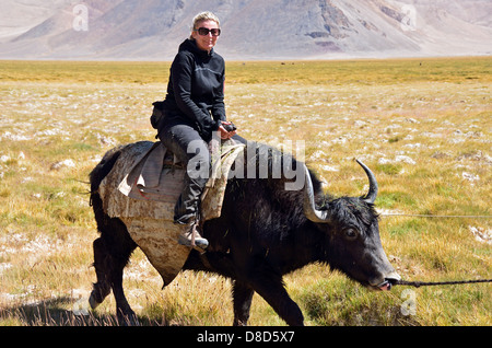 Reiten ein Yak in den Pamir, Tadschikistan Stockfoto