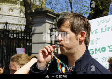 Dublin, Irland. 25. Mai 2013. Ein Demonstrant bläst einen Pfiff während der "Marsch gegen Monsanto" zu machen Lärm, den Protest zu hören bekommen.  Hunderte von Menschen stellte sich heraus, dass es sich für den "Marsch gegen Monsanto" in Dublin aus dem Garden of Remembrance, Department of Agriculture. Der Protest ist Teil einer internationalen Tag des Protests gegen das landwirtschaftliche Unternehmen Monsanto und seine Geschäftspraktiken als auch gegenüber gentechnisch veränderten Lebensmitteln. Bildnachweis: Michael Debets/Alamy Live-Nachrichten Stockfoto