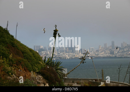 Dieses Bild zeigt einen Blick auf San Francisco von der Insel Alcatraz, mit der Skyline der Stadt in der Ferne. Die berühmte Golden Gate Bridge kann auch über die Bucht gesehen werden, was dies zu einer unvergesslichen Perspektive auf die Stadt macht. Stockfoto