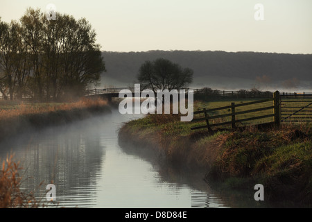 Frühen Morgennebel auf Somerset Ebenen Stockfoto