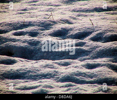 Dieses Bild zeigt die komplizierten Muster, die durch den Schneefall auf dem Boden entstehen. Schneeflocken sammeln sich auf Oberflächen an und bilden einzigartige Designs und Texturen. Die Szene fängt die natürliche Schönheit des Winterwetters ein und zeigt den ungestörten Schnee, der die Erde in verschiedenen Formen bedeckt. Schneemuster werden oft von Wind- und Temperaturschwankungen beeinflusst, wodurch dynamische Landschaften entstehen. Stockfoto