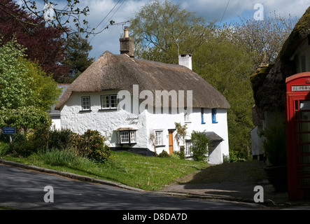 North Bovey Devon, cob und Stroh, rote Telefonzelle, Architektur, Außen, Häuschen, Croft, Natur, keine Menschen, Natur, Fotografie, Rosa, Stockfoto