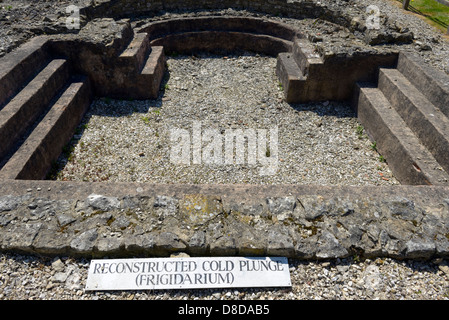 Rekonstruierte Frigidarium (kalte Tauchbecken) an Bignor Römervilla, West Sussex, UK Stockfoto