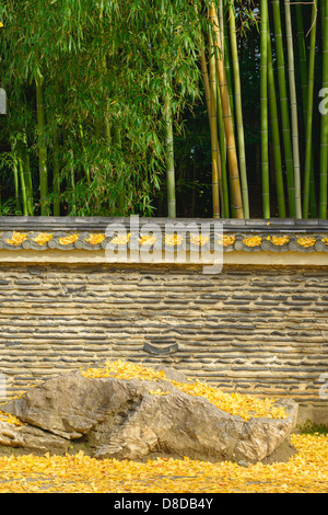 Ästhetik des Kyoto-Protokolls Stockfoto