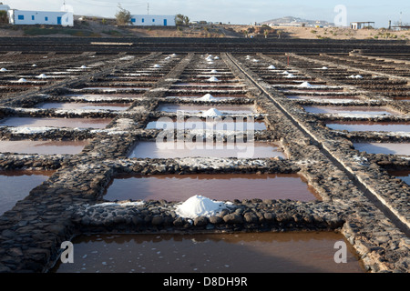 Las Salinas Salinen, Fuerteventura, Kanarische Inseln, Spanien Stockfoto