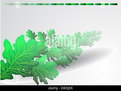 Hintergrund mit grünen Eichenlaub Stockfoto