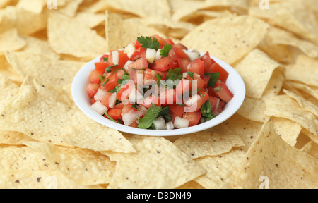 Eine Schüssel mit Pico de Gallo (Salsa Fresca) umgeben von Tortilla-Chips. Stockfoto