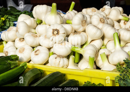 Frisch geerntete Knoblauchzehen auf dem Display auf dem Bauernmarkt Stockfoto