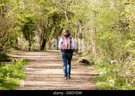 Woman applying mit Rucksack zu Fuß auf einem Pfad in den Wald Wald, Norfolk, East Anglia, England Stockfoto