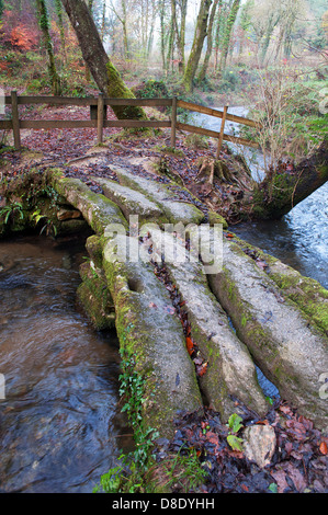 Die alte "Dame Vale" Klöppel Brücke in Cardinham Wäldern, Cornwall, UK Stockfoto