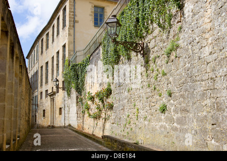 Efeu wächst auf mittelalterlichen Sandsteinbauten entlang der gepflasterten Straße, im charmanten Sarlat, Dordogne Region Frankreichs Stockfoto