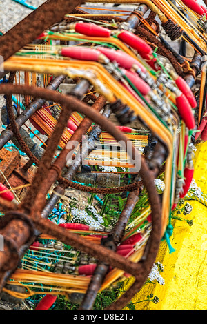 Squid Kokons Maschine an die Champney West Wharf in Neufundland Stockfoto