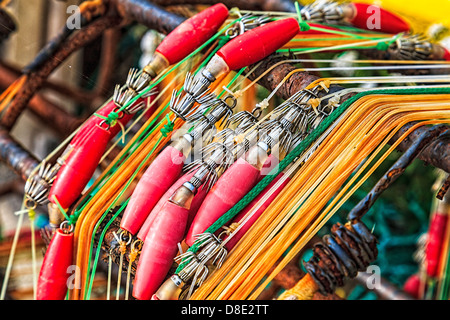 Squid Kokons Maschine an die Champney West Wharf in Neufundland Stockfoto