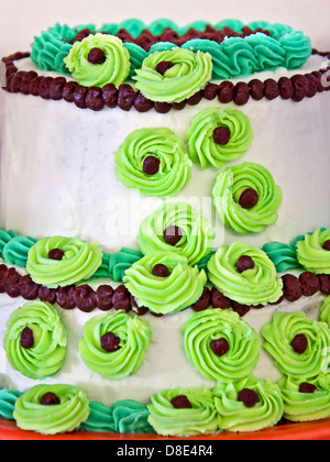 Vanille-Doppel-Kuchen mit grünen und braunen Schokolade Zuckerguss verziert als grüne Blumen. Es war St. Patricks Day Dessert. Stockfoto