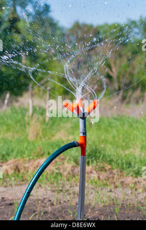 Bewässerung des Gartens an einem sonnigen Frühlingstag Stockfoto