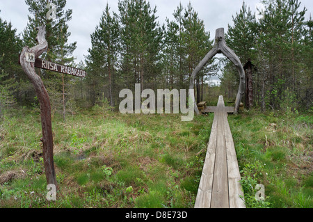 Riisa Wandern Wanderweg Soomaa National Park im zentralen Estland Stockfoto