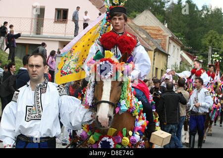 Vlcnov, Tschechische Republik. 26. Mai 2013. Traditionelle Fahrt der Könige erfolgt am 26. Mai 2013, in Vlcnov (300 km östlich von Prag). Jedes Jahr am letzten Sonntag im Mai, diesen Aufruf in den Süden mährischen Dorf Vlcnov erklingen. Der Ritt der Könige, eine Nachricht für Freude, Glück und Schönheit. Im 19. Jahrhundert konnte die Praxis dieses Brauches in nahezu allen Mährens nachgewiesen werden. Heute ist die jährliche Tradition nur in Vlcnov weiterentwickelt. Die Fahrt oder Parade besteht aus einer Gruppe von Reitern zentriert um einen König auf einem weißen Pferd durchgeführt. Der König ist ein Jugendlicher junge gekleidet in ein o Stockfoto