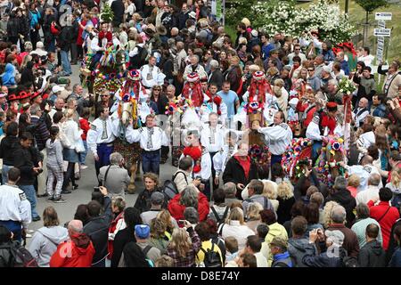 Vlcnov, Tschechische Republik. 26. Mai 2013. Traditionelle Fahrt der Könige erfolgt am 26. Mai 2013, in Vlcnov (300 km östlich von Prag). Jedes Jahr am letzten Sonntag im Mai, diesen Aufruf in den Süden mährischen Dorf Vlcnov erklingen. Der Ritt der Könige, eine Nachricht für Freude, Glück und Schönheit. Im 19. Jahrhundert konnte die Praxis dieses Brauches in nahezu allen Mährens nachgewiesen werden. Heute ist die jährliche Tradition nur in Vlcnov weiterentwickelt. Die Fahrt oder Parade besteht aus einer Gruppe von Reitern zentriert um einen König auf einem weißen Pferd durchgeführt. Der König ist ein Jugendlicher junge gekleidet in ein o Stockfoto