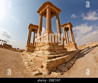 Antike römische Zeit Stadt in Palmyra (Tadmor), Syrien. Griechisch-römischen & persischen Periode. Stockfoto