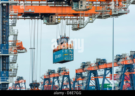 Containerterminal im Hafen von Rotterdam, Niederlande Stockfoto