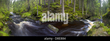 Wasserfall Krai-Woog-Gumpen, Hotzenwald, Schwarzwald, Baden-Württemberg, Deutschland, Europa Stockfoto