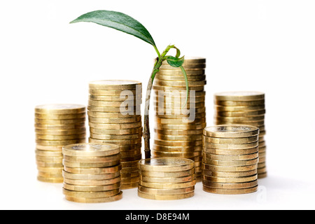 Grün sprießen zwischen Münzen, Investition Stockfoto