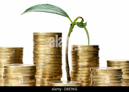 Grün sprießen zwischen Münzen, Investition Stockfoto