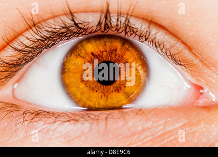 Foto menschliche Auge close-up. Stockfoto