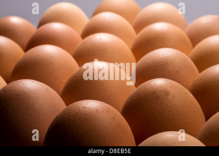 Verschiedene Ansichten von Hühnereiern in ein Fach. Stockfoto