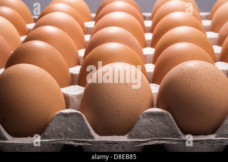 Verschiedene Ansichten von Hühnereiern in ein Fach. Stockfoto