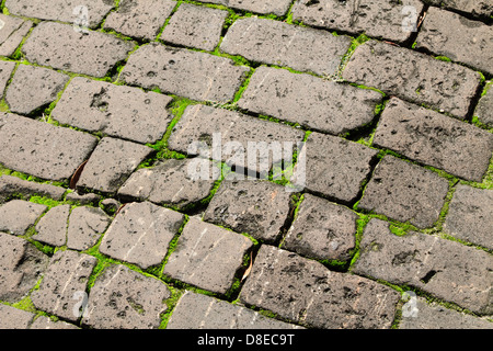 Pflaster mit Moos auf einem Bürgersteig in einer alten Stadt Stockfoto