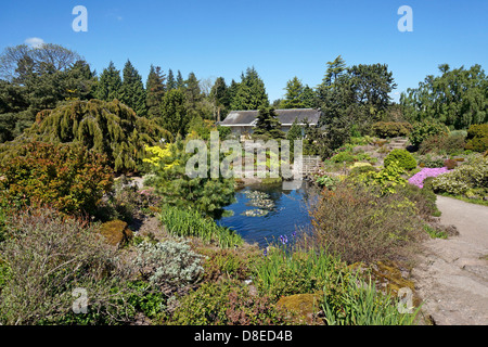 Der Steingarten und Stream Bereich der Royal Botanic Garden in Edinburgh, Schottland Stockfoto