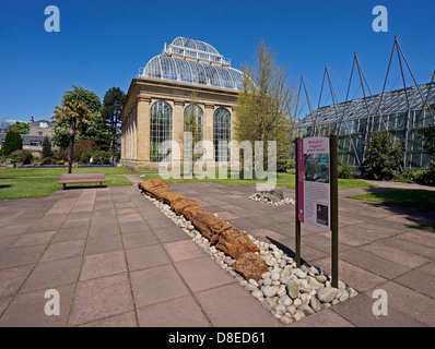 Fossilen Innenhof und Palmenhaus im Royal Botanic Garden Edinburgh Schottland Stockfoto