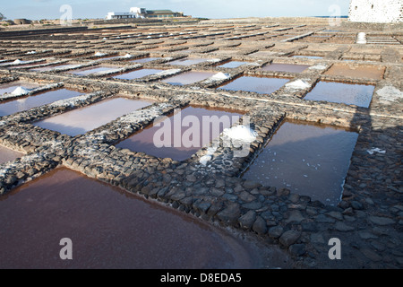 Las Salinas Salinen, Fuerteventura, Kanarische Inseln, Spanien Stockfoto