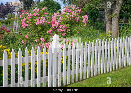 Rustikale weißen Lattenzaun mit Rosen und anderen Blumen im Hintergrund. Stockfoto