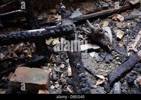 Berlin, Deutschland, verkohlte Reste verbrannt Industrieruine Stockfoto