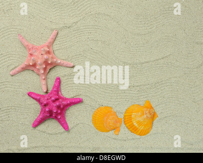 Seesterne und Muscheln mit Rahmen am Strand, Urlaubserinnerungen Stockfoto