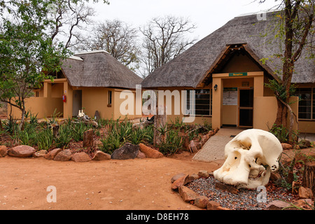 Letaba Rezeption des Campingplatzes mit Elefant Schädel am Eingang Krüger Nationalpark in Südafrika Stockfoto