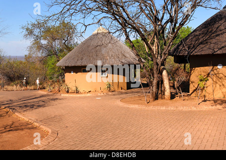 Olifants Rest camp Bungalow Krüger Nationalpark in Südafrika Stockfoto