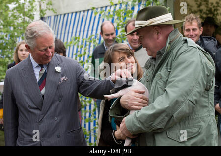 Langenburg, Deutschland. 27. Mai 2013. Prinz Charles (L-R) Haustiere ein Ferkel, steht er neben Prinzessin Xenia von Hohenlohe-Langenburg und Vorstandsvorsitzender der landwirtschaftliche Erzeugergemeinschaft Schwäbisch Hall, Rudolf Buehler, in Croeffelbach, Deutschland, 27. Mai 2013. Prince Charles besucht Langenburg Schloss um ein Symposium zum Thema regionale Nahrungsmittelproduktion auf 27. Mai 2013 teilzunehmen. Foto: MARIJAN MURAT/Dpa/Alamy Live News Stockfoto