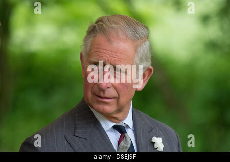 Langenburg, Deutschland. 27. Mai 2013. Prinz Charles (L), steht auf einer Wiese in Croeffelbach, Deutschland, 27. Mai 2013. Prince Charles besucht Langenburg Schloss um ein Symposium zum Thema regionale Nahrungsmittelproduktion auf 27. Mai 2013 teilzunehmen. Foto: MARIJAN MURAT/Dpa/Alamy Live News Stockfoto