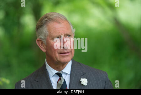 Langenburg, Deutschland. 27. Mai 2013. Prinz Charles (L), steht auf einer Wiese in Croeffelbach, Deutschland, 27. Mai 2013. Prince Charles besucht Langenburg Schloss um ein Symposium zum Thema regionale Nahrungsmittelproduktion auf 27. Mai 2013 teilzunehmen. Foto: MARIJAN MURAT/Dpa/Alamy Live News Stockfoto