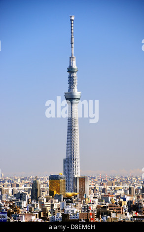 Tokyo Skytree 16. Dezember 2012 in Tokio, JP. Die Skytree ist weltweit der zweite höchsten Bauwerks. Stockfoto