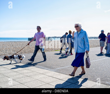 Eine ältere Frau Spaziergänge entlang einer Promenade, Essen ein Eis an einem heißen Tag. Bild von Julie Edwards Stockfoto