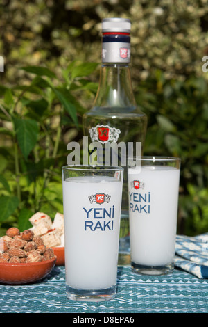 Brille der türkische Raki (eine beliebte Anis gewürzt Geist, bekannt als "Lion es Milch"). Stockfoto