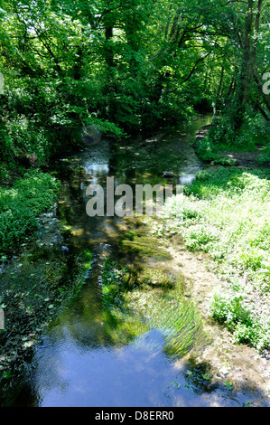 Stream in Cerne Abbas Dorf Dorset Stockfoto